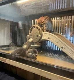 北野坂 か和うそCafe
