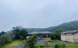 Cafe 鎮守