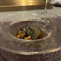 岩桧葉
