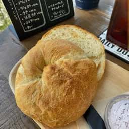 DAILY DOSE coffee shop