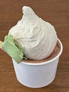 Raccolta Gelato