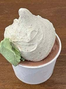 Raccolta Gelato