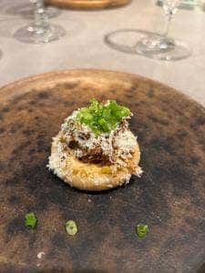 RUBIA Fine Mexican Restaurant