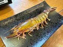 車えびレストラン 球屋