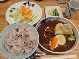 しまうま食堂