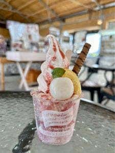 河西いちご園