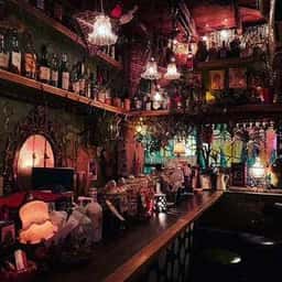 BAR VINE