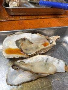 スギムラ水産