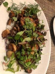 BISTRO Buzz