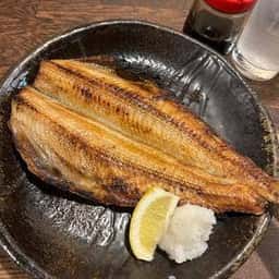 たぬき