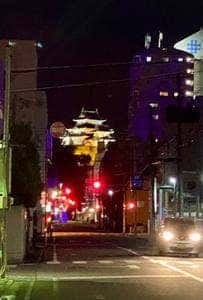 軍鶏 ジークック