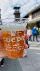桝屋酒店