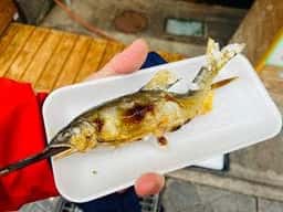 魚昌