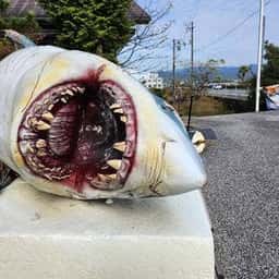 れストラン ゆず庵