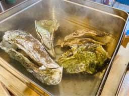 魚処 壱や 盛岡駅前店