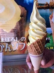 道の駅 くしもと橋杭岩