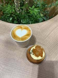 pleine by KITASANDO COFFEE