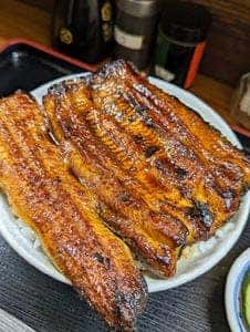 うなぎ 丸富
