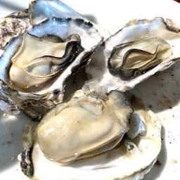 千里浜レストハウス