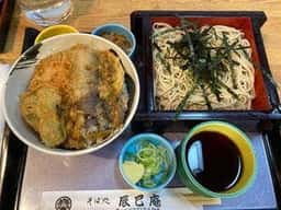 辰巳庵