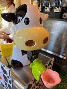 東京アオヤス