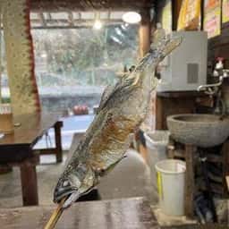 やま里