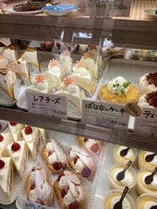 り〜ぷ・らいつ 鷺沼店