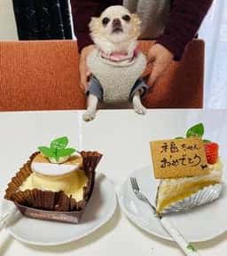 パティスリーハニーミエル