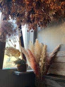 プラススタンド