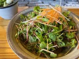 そばの芽料理とそばの店 木漏れ陽