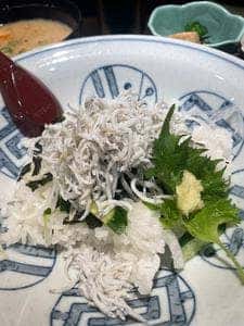 けい馬