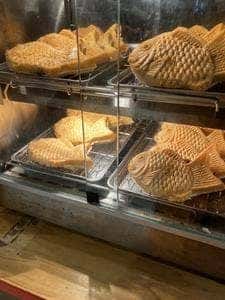 たい焼き たいの八 本厚木ミロード店
