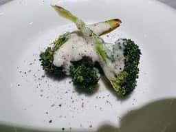 Veggie by Y