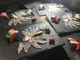 肴と盃 はまけん