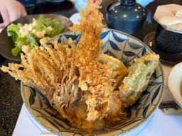 肴