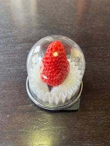 canadell berry 総曲輪店