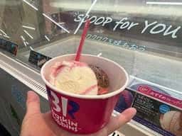 サーティワンアイスクリーム 高鷲スノーパーク店