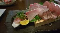 いごっそう 彩肴