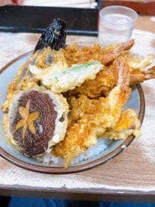 豊野丼