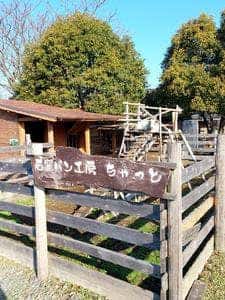 石窯パン工房 ちゃっと