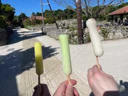 たきどぅん