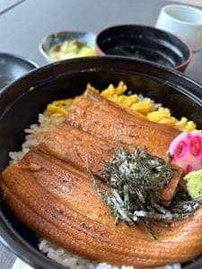 鰻 若松