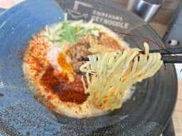 SHIRAHAMA KEY NOODLE だきしめ鯛