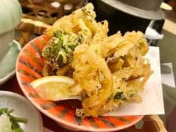 津みやび