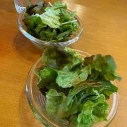 ダイニング カフェ ヴィータ