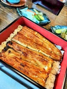 うなぎ 明月川