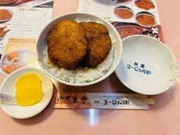 ヨーロッパ軒 敦賀岡山店