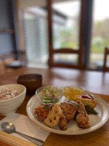 グリーンサンフード