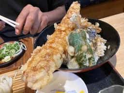 みの屋うどん本店