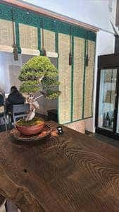 松葉屋茶寮